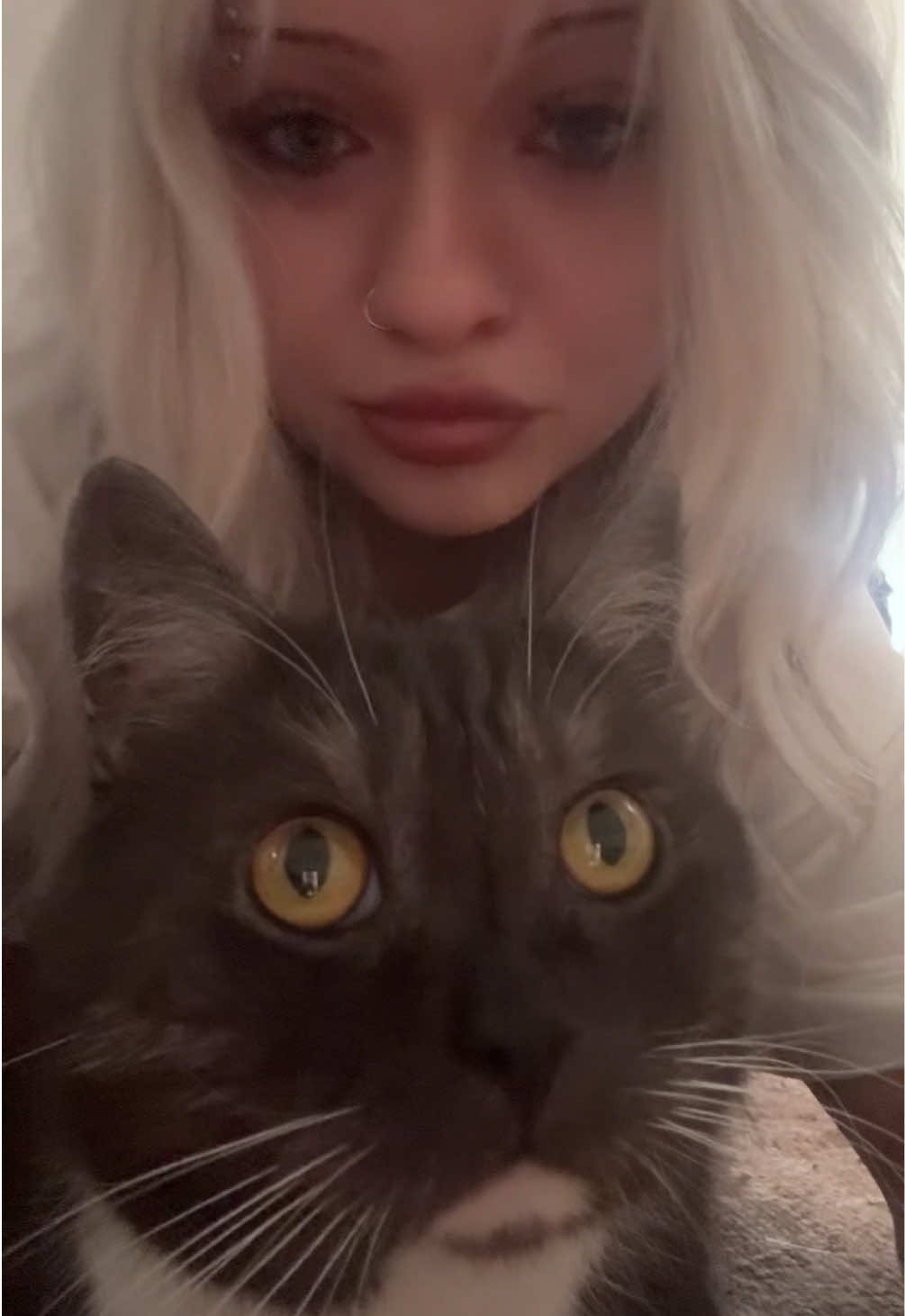 @catscry2