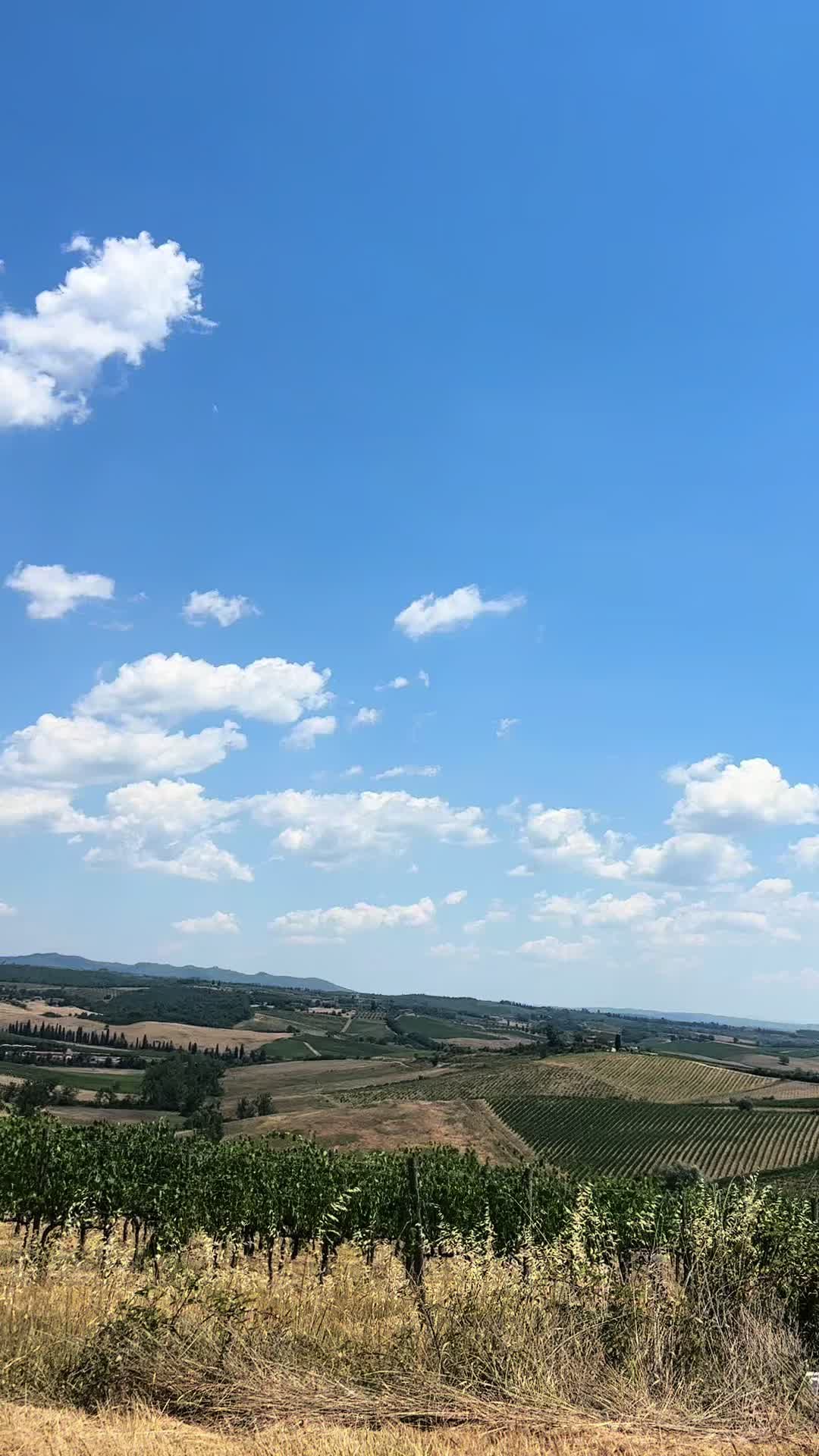 @Flavia Ceccherini