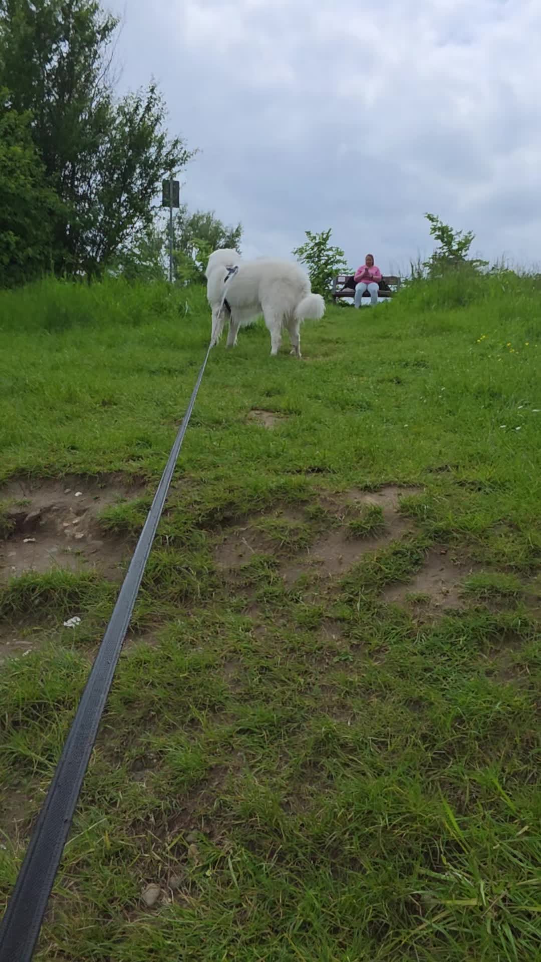 @Cooper😍and😍 I 🐕🏃♂️🫶🏻