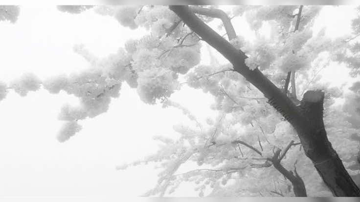 @໒꒰ྀིっ˕ -。꒱ྀི১