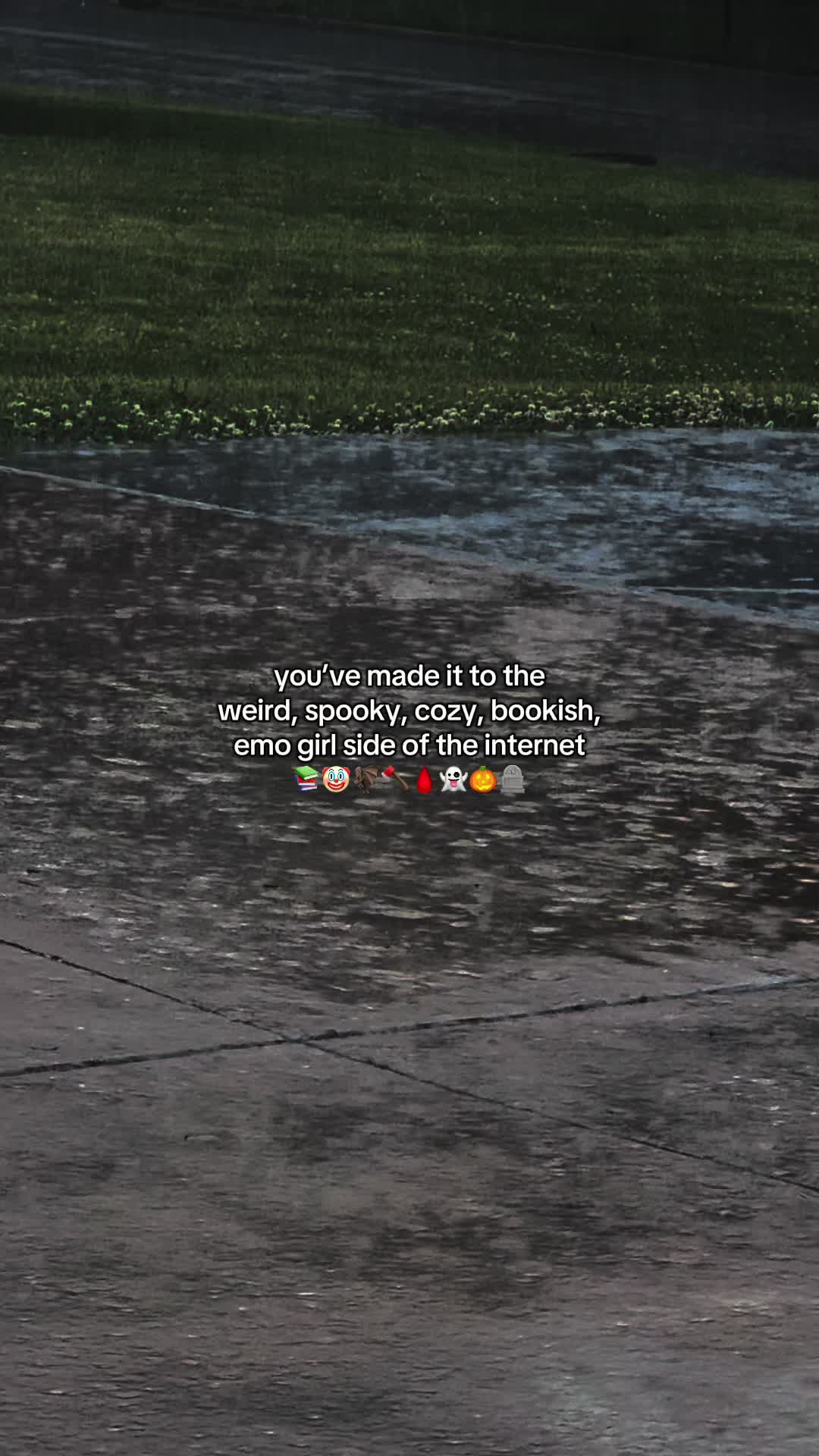 @krod👻