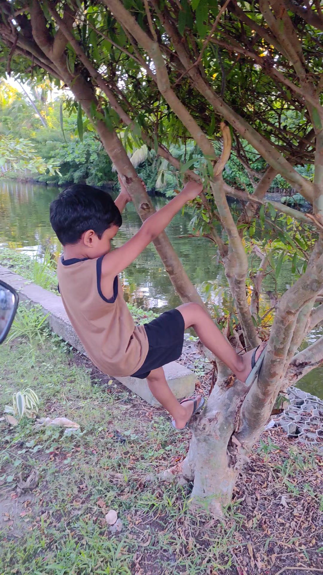 @__මේනකා දේශානි__
