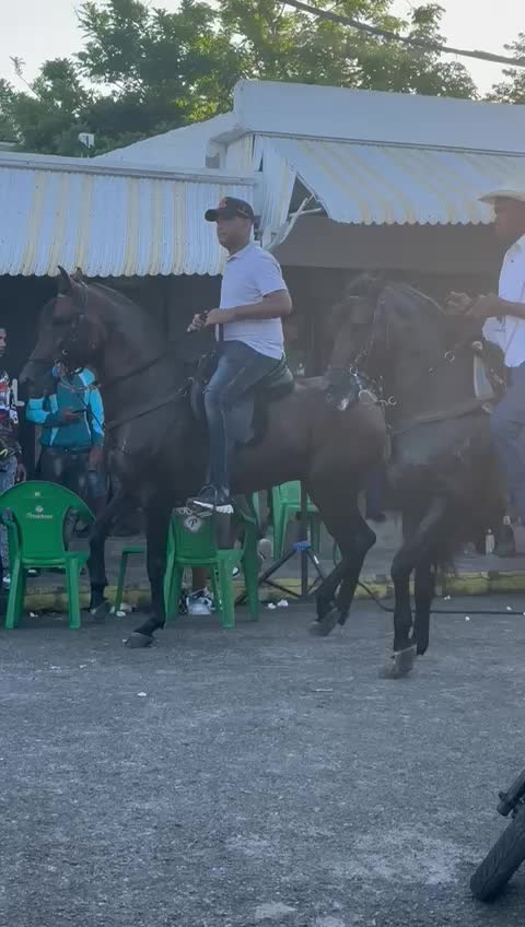 @caballero.R