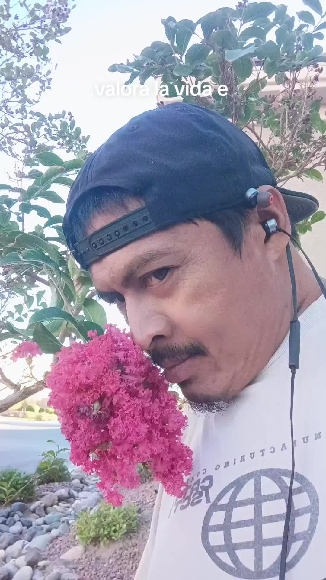 @&Eacute;L ca&iacute;do