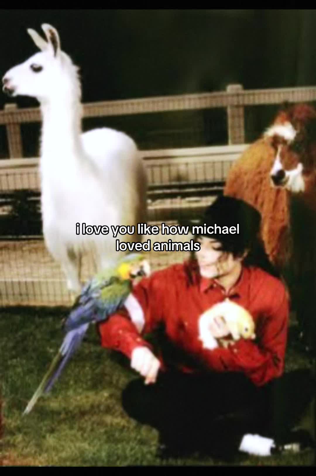 @DoodlebobonaPC