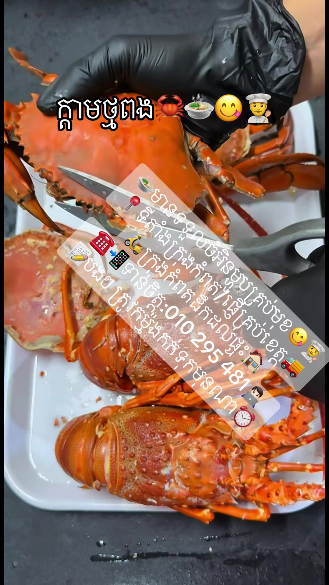 @កំពតគ្រឿងសមុទ្រ