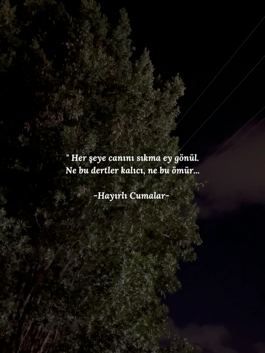 @ᴅᴜᴀ ᴅɪ̇ʏᴀʀɪᴍ