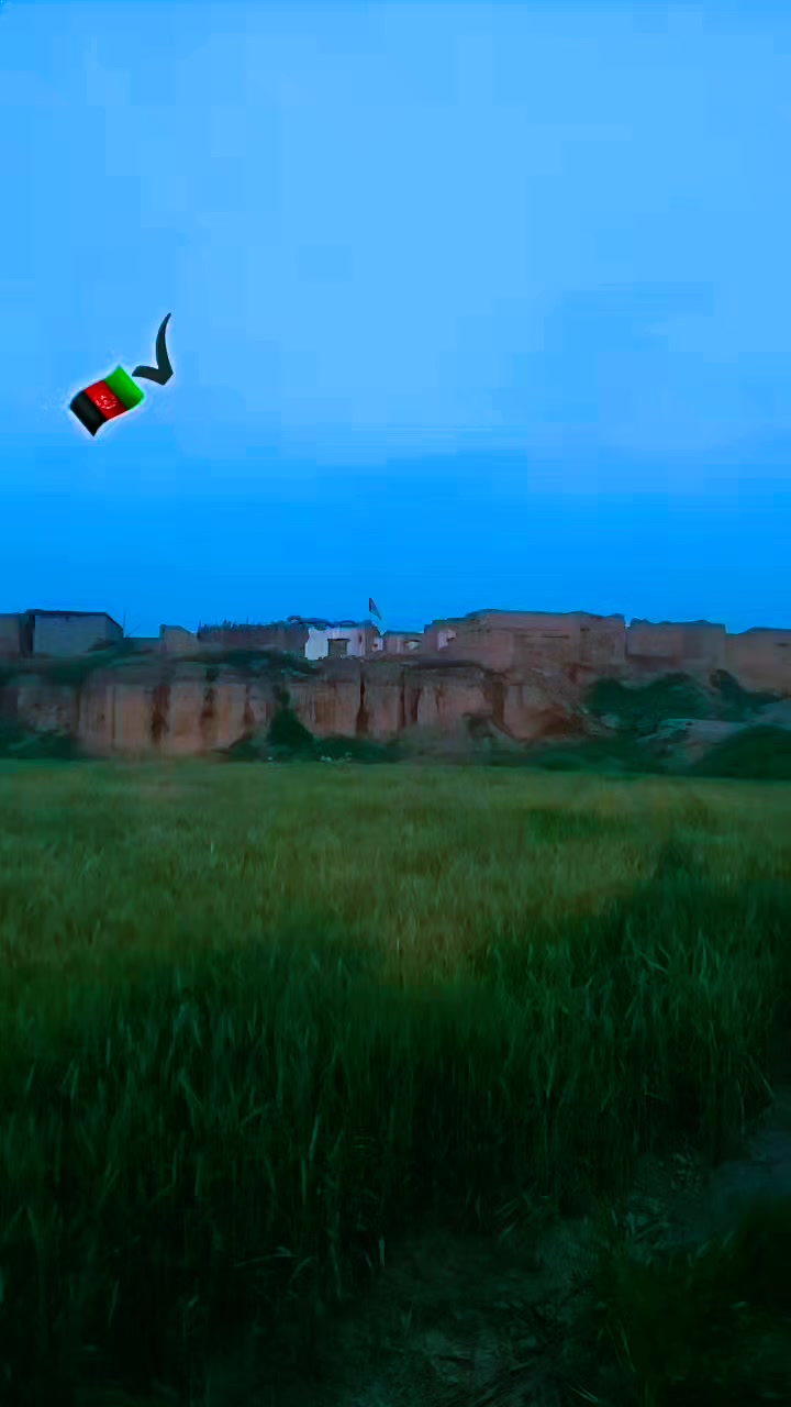 @🅢🅐🅛🅐🅡🇦🇫🪽