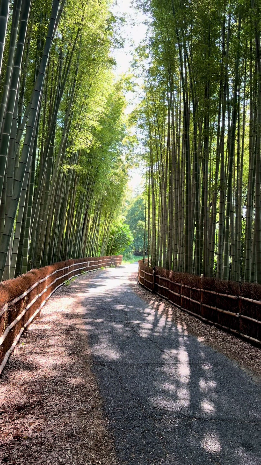 @moriwaki002384