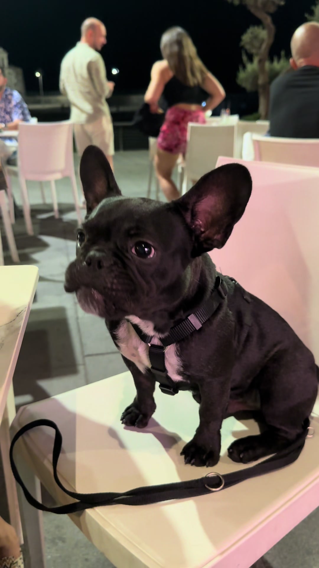@Bullo_mal&ugrave;