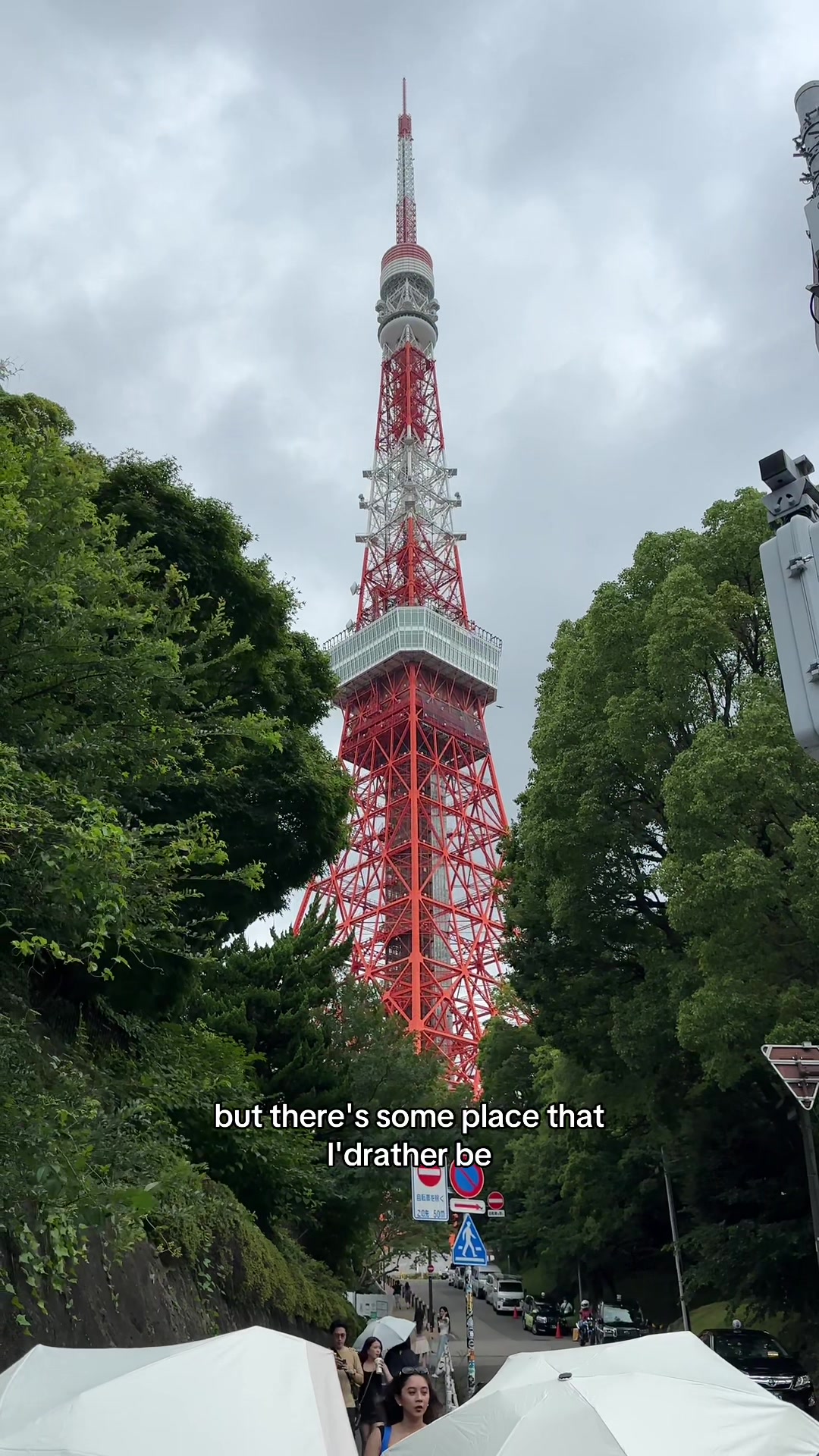 @Y/n