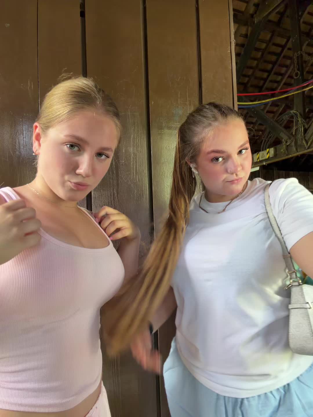 @hamsters