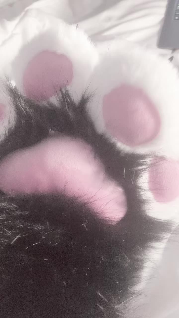 @Luvkitty
