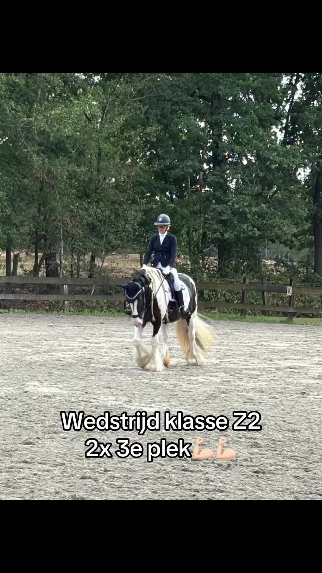 @Syrche Cordewener