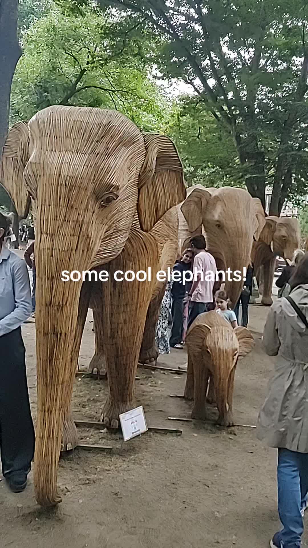 @desocialconnector