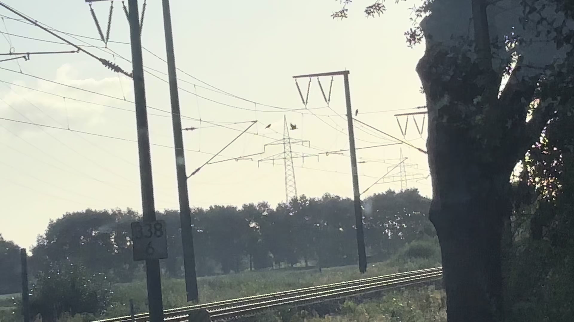 @Trainspotter_BVB🖤💛