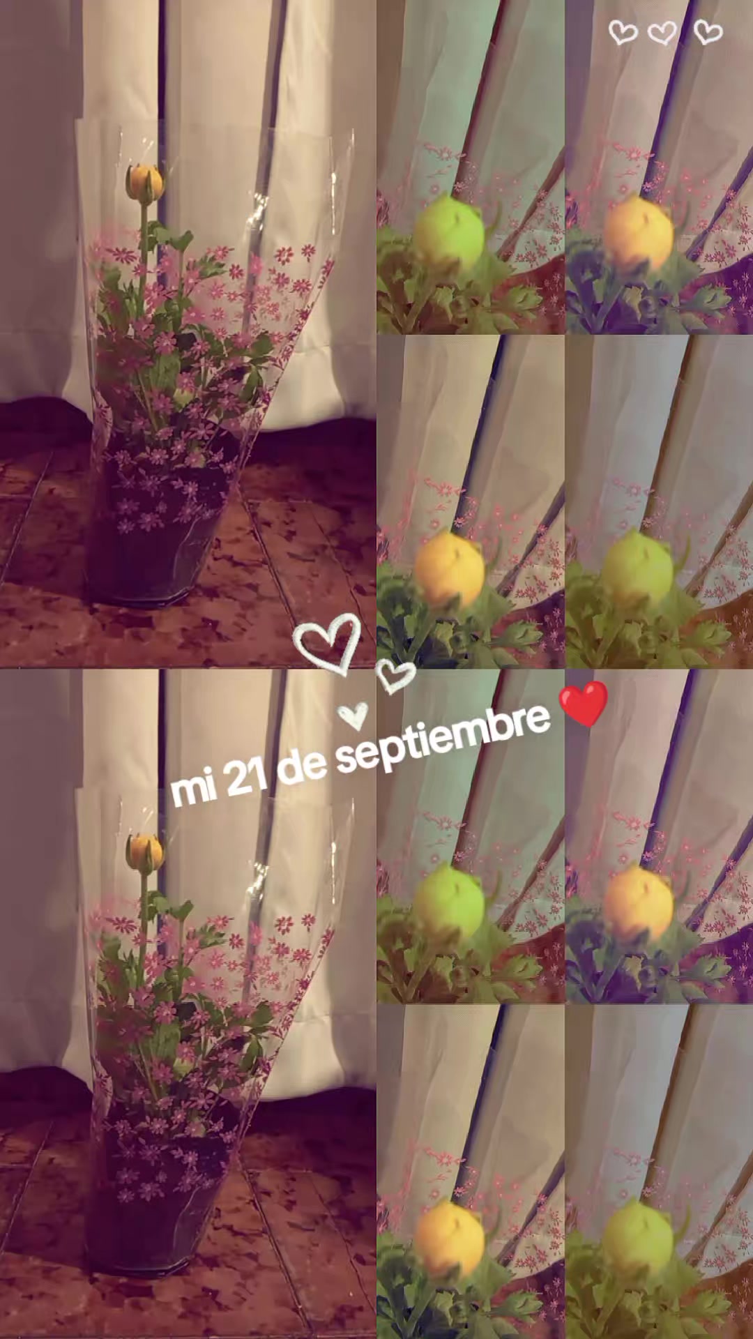 @Georgy🌻❤️