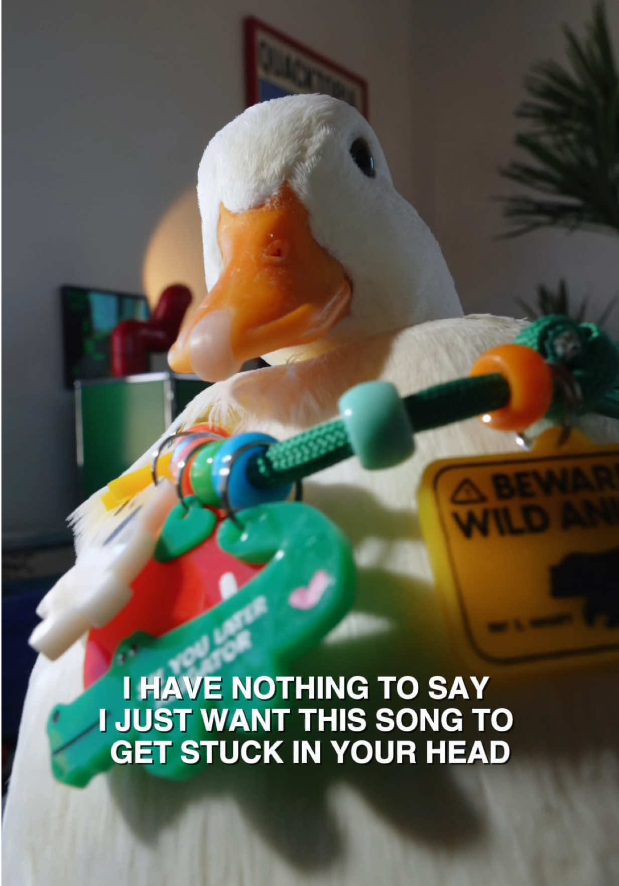 @ducks_in_space🪿🪿💦