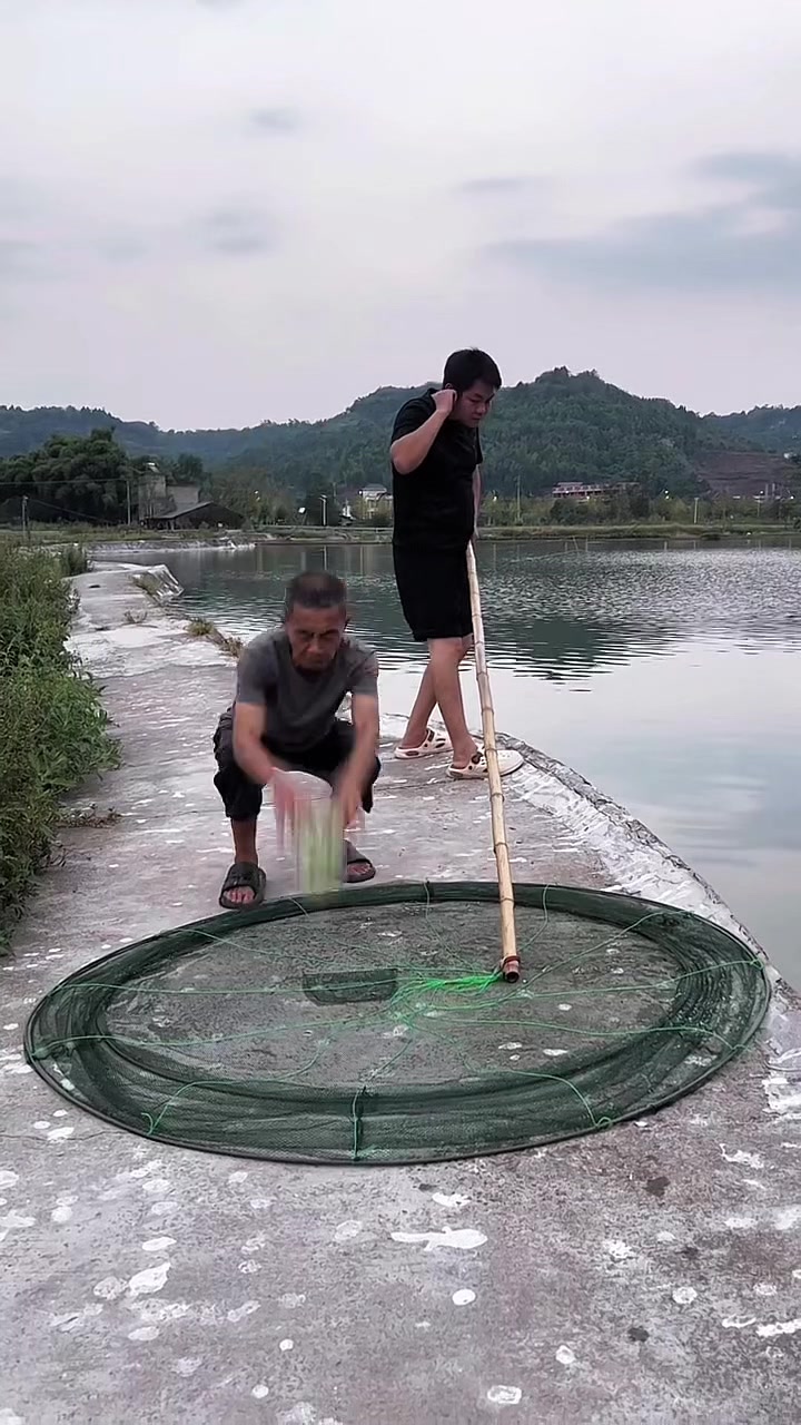 @Fishing King