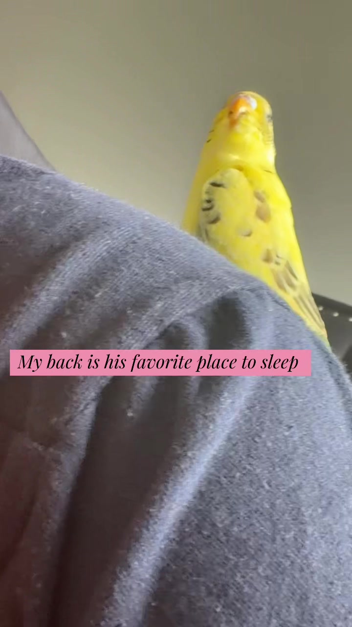 @Mandii_og