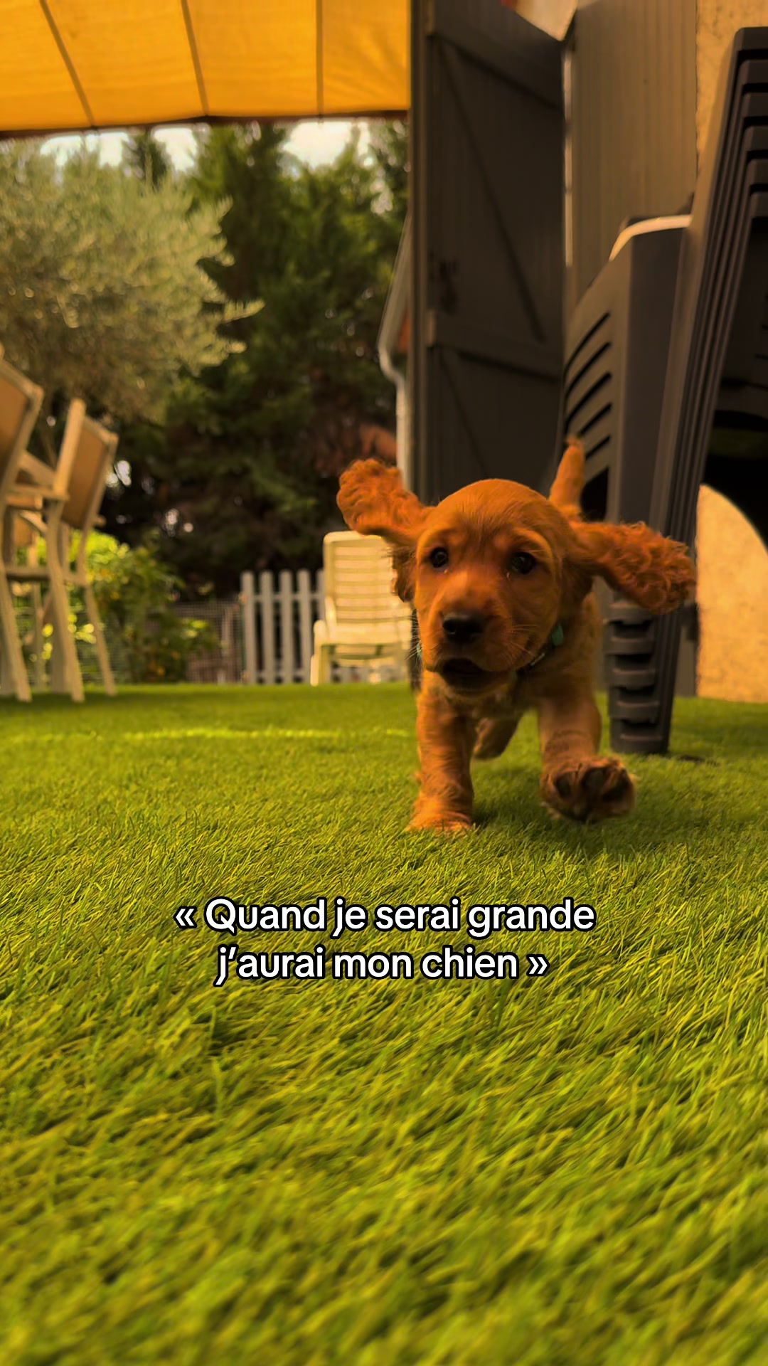 @Na&iuml;s