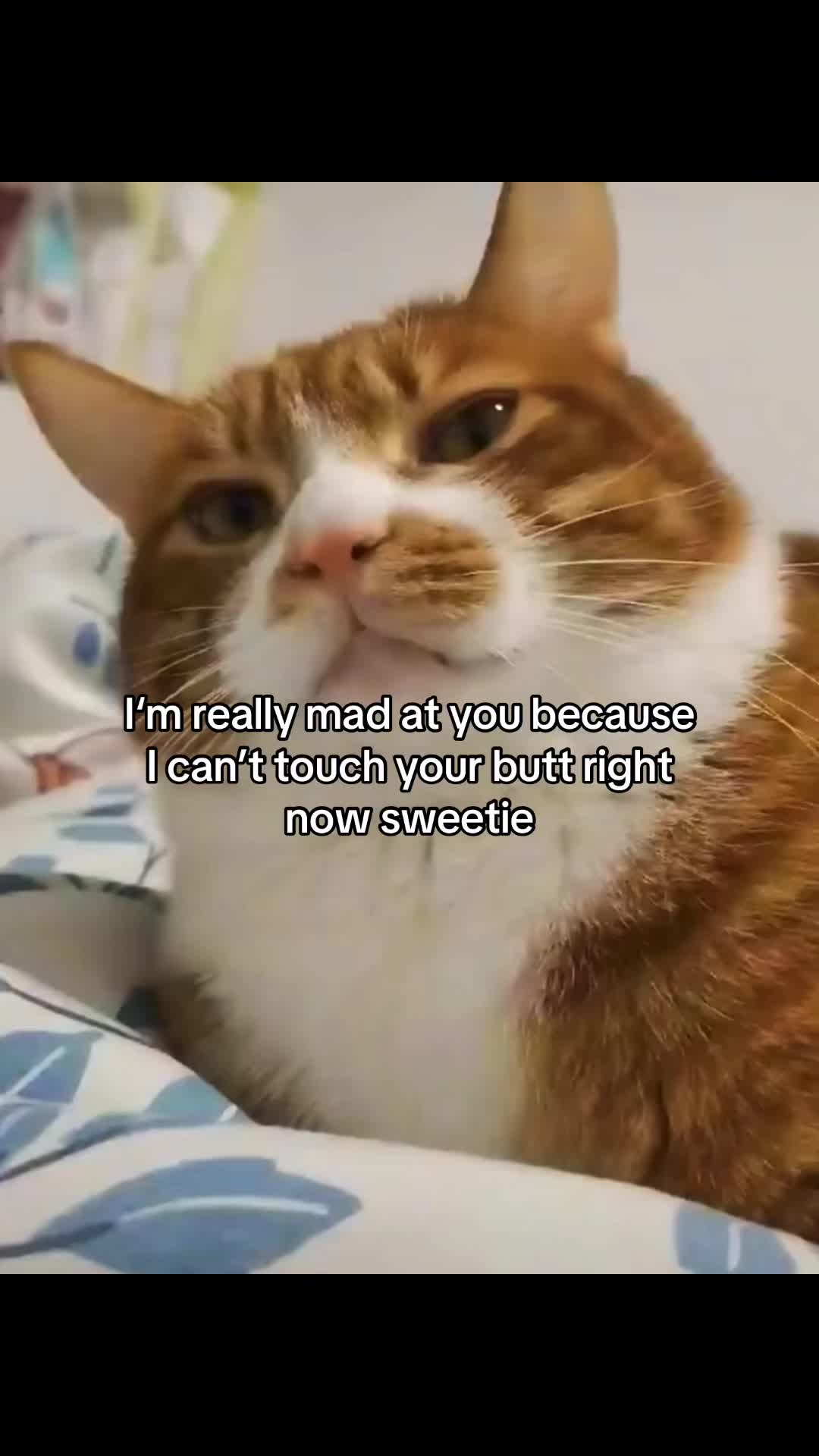 @Molly