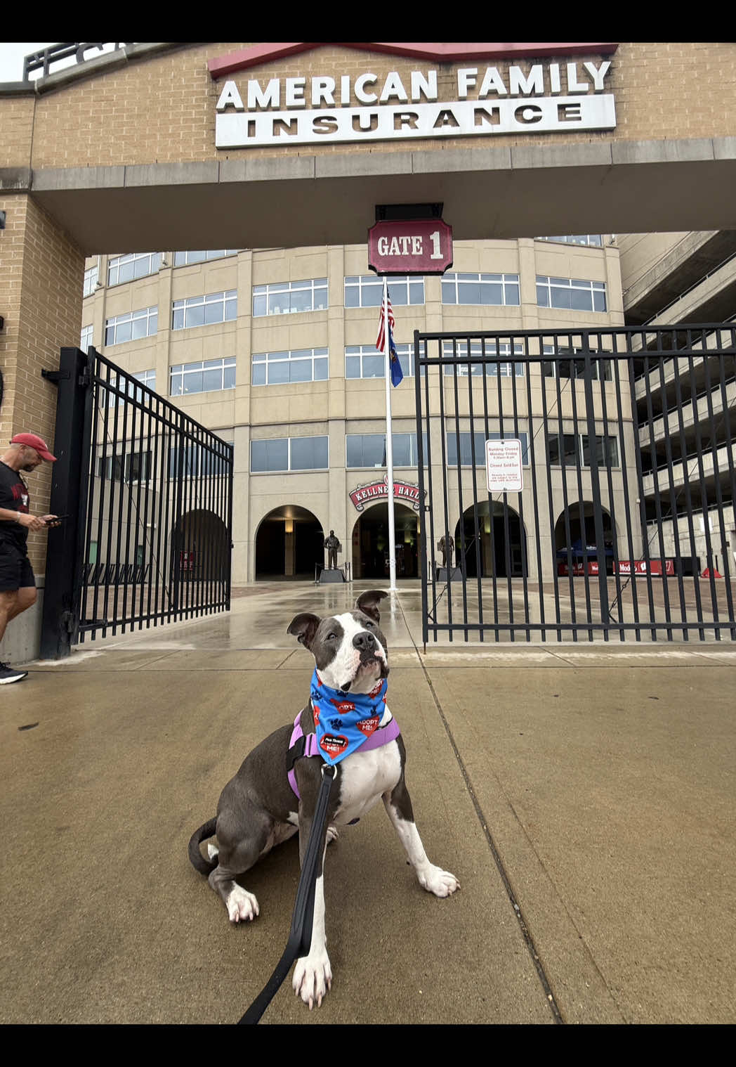 @sftsanimalrescue