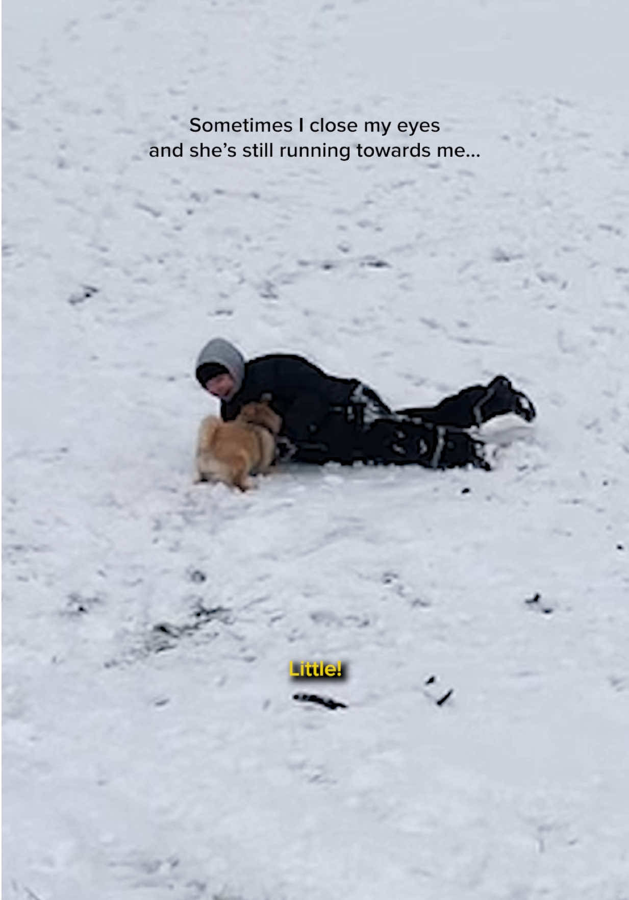 @bella_does_whatever
