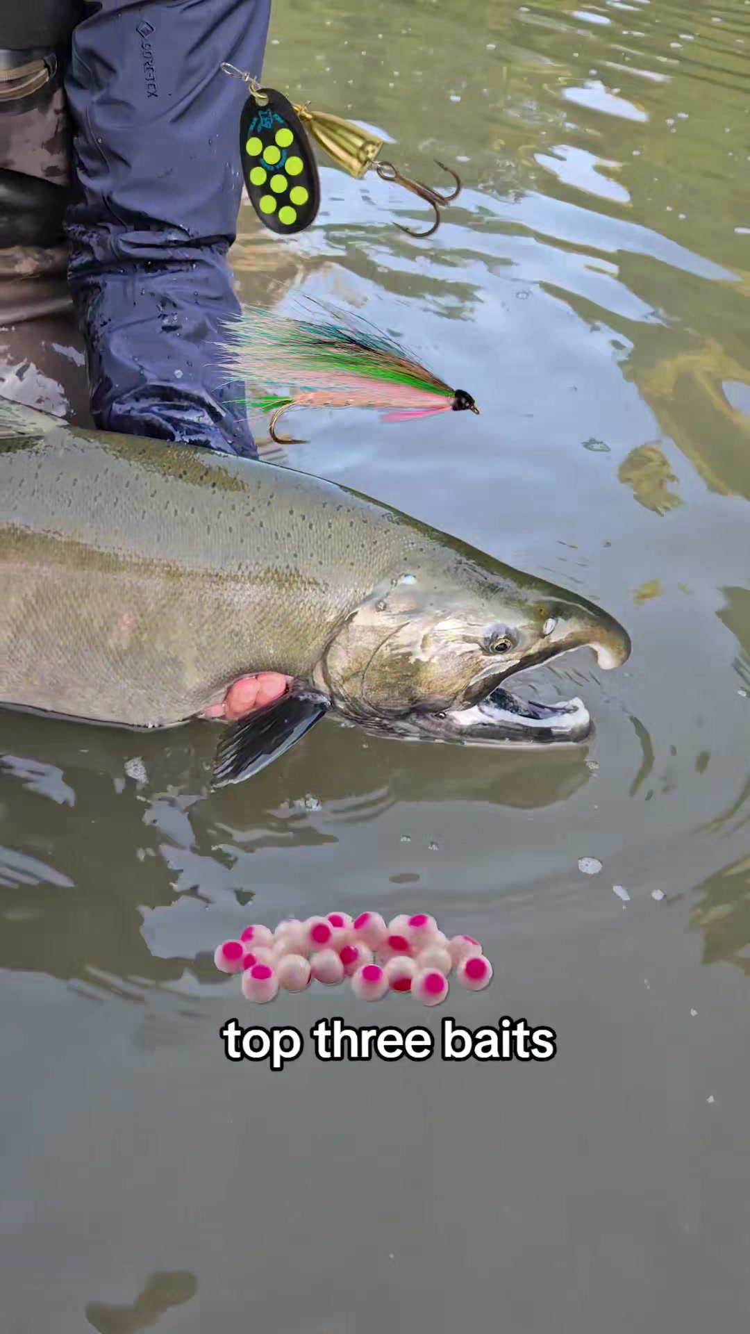 @FishingParadise