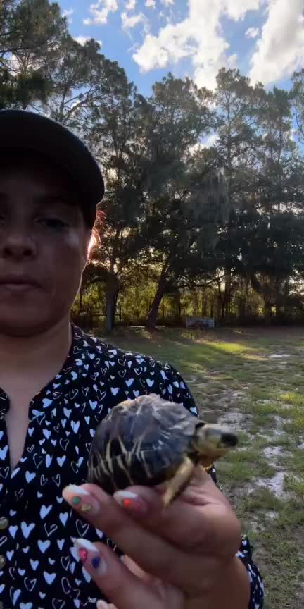 @KTeamAdventures🚜💛🦋