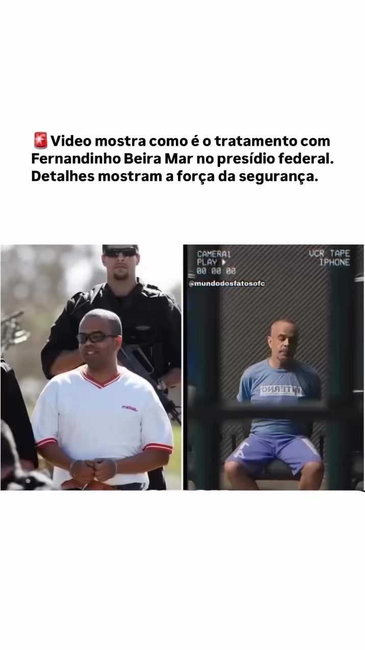 @danielscarpa_