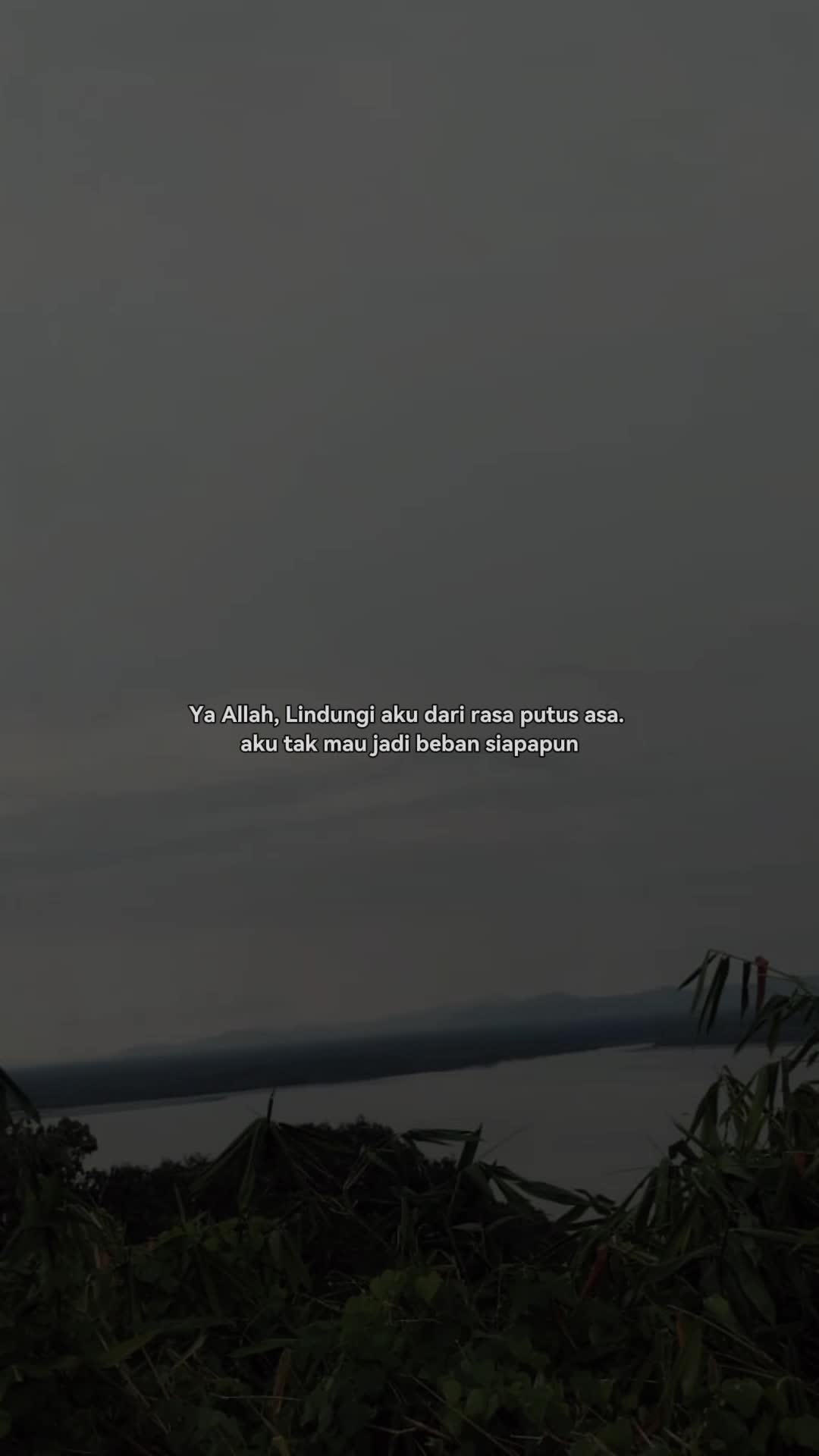 @Zulia80