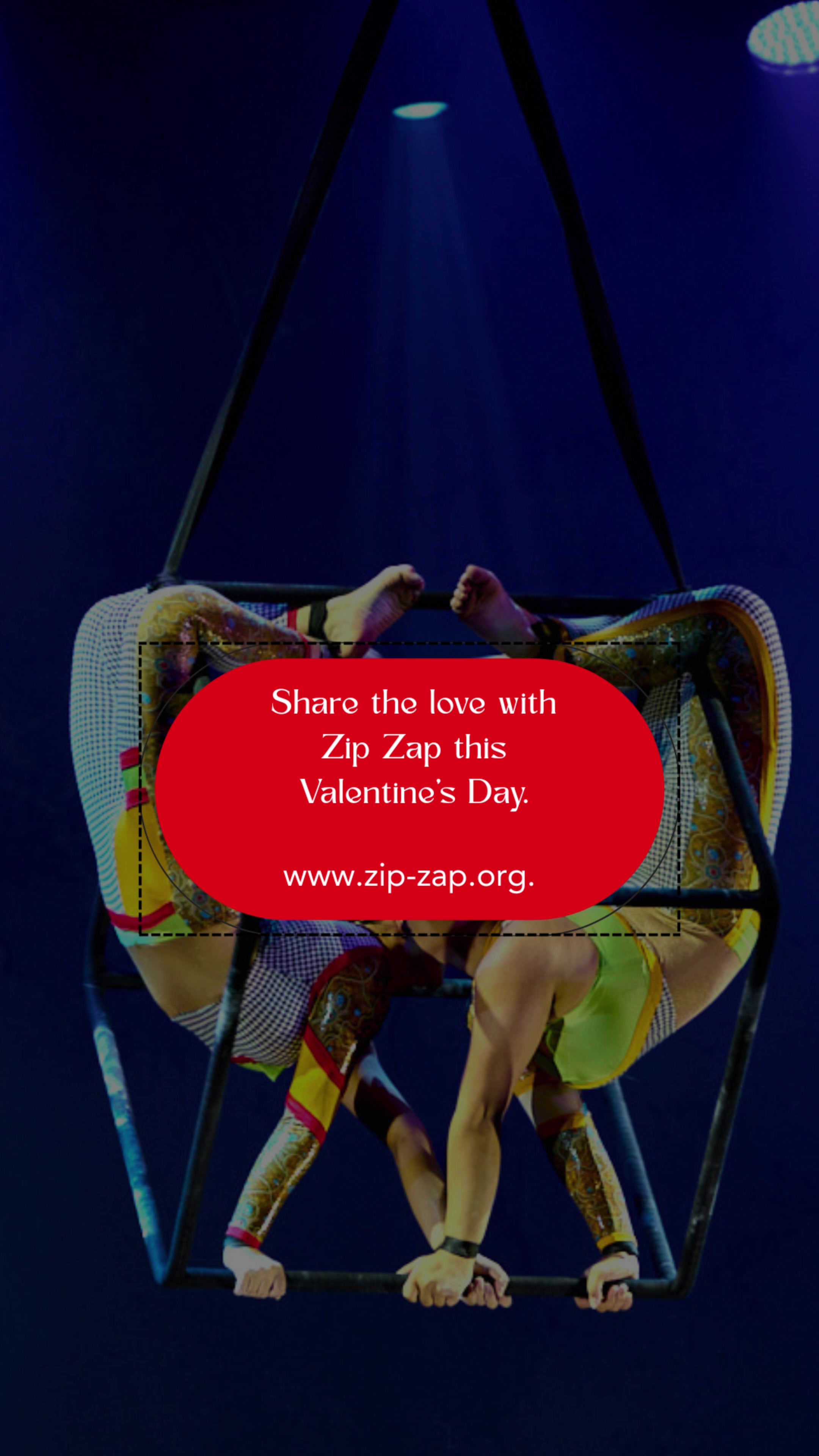 @Zip Zap Circus