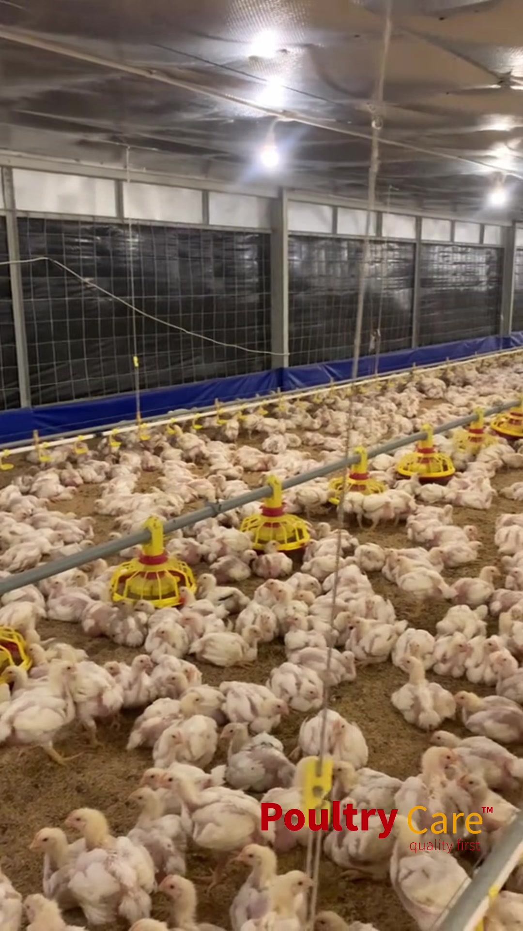 @Poultry Care
