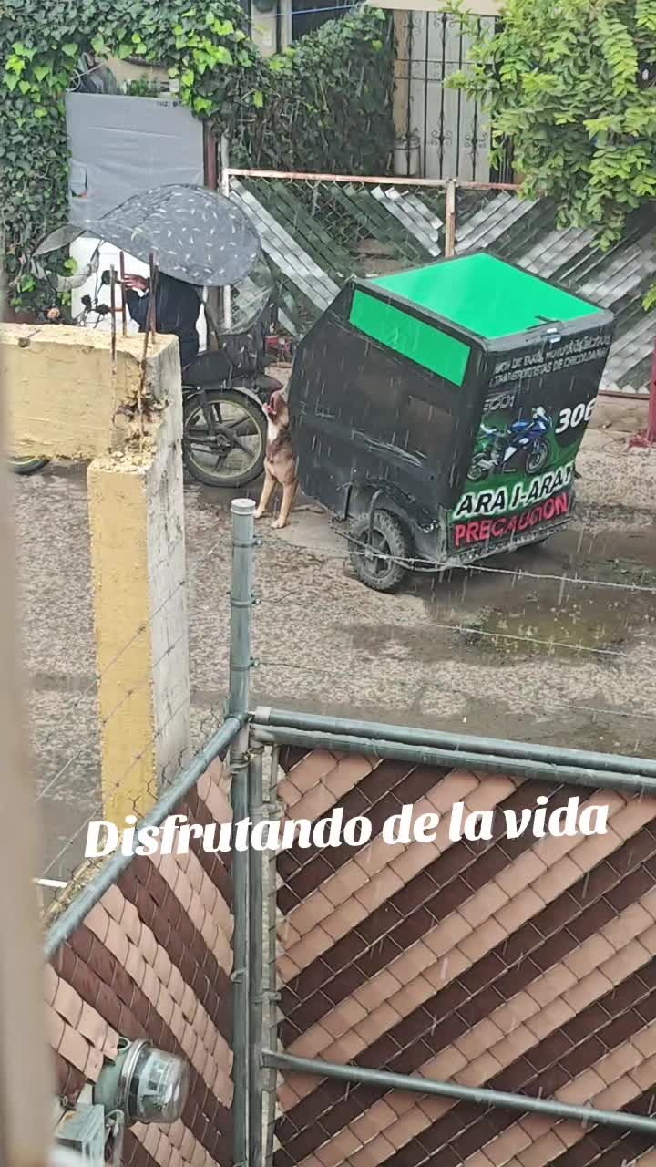 @Alan Teran