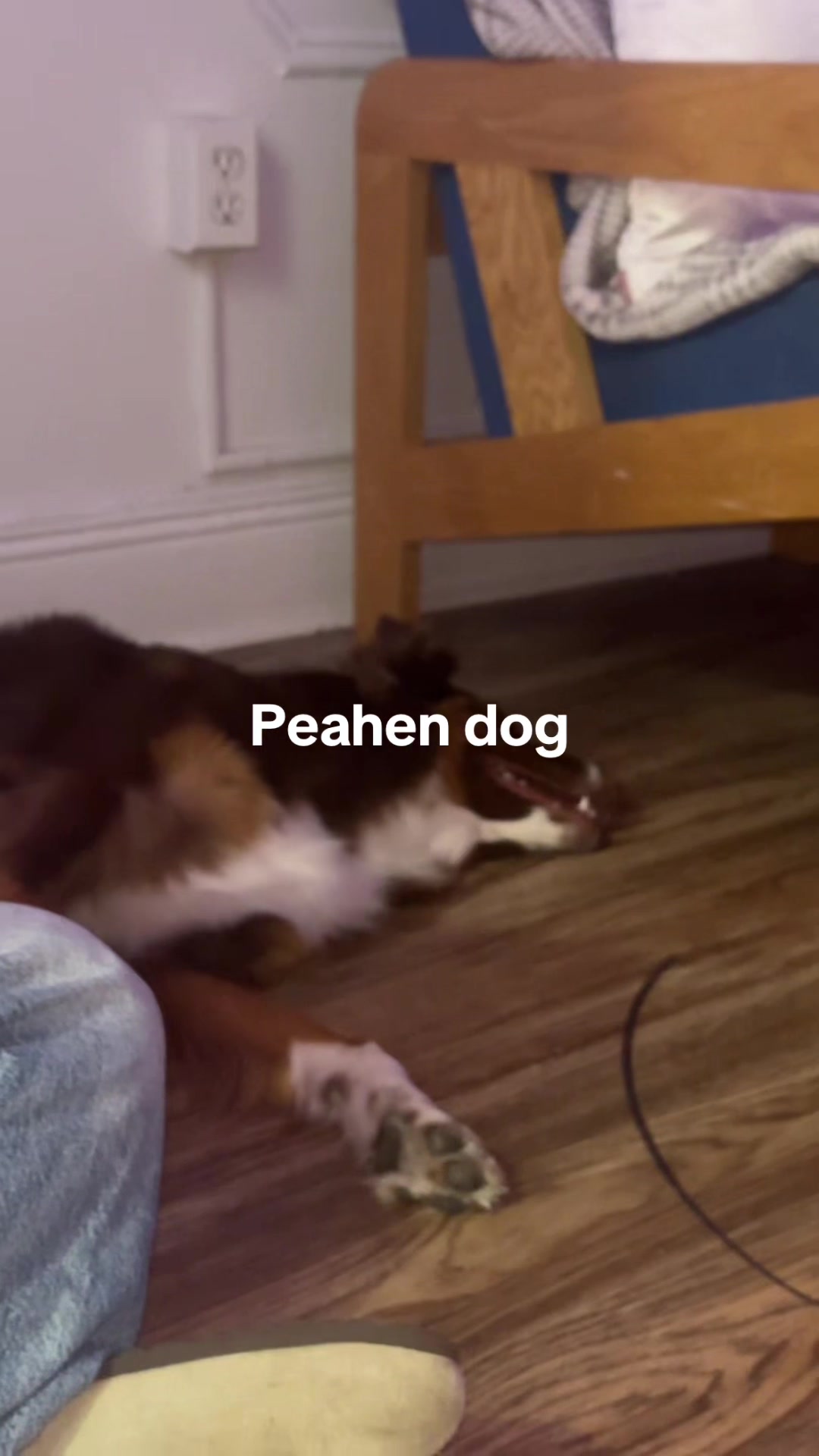 @peaHENS