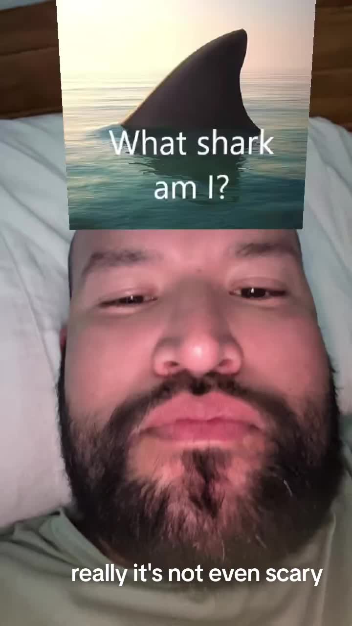 @Carlitos