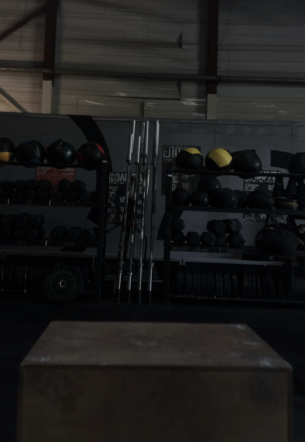 @genetic_crossfit_grodno