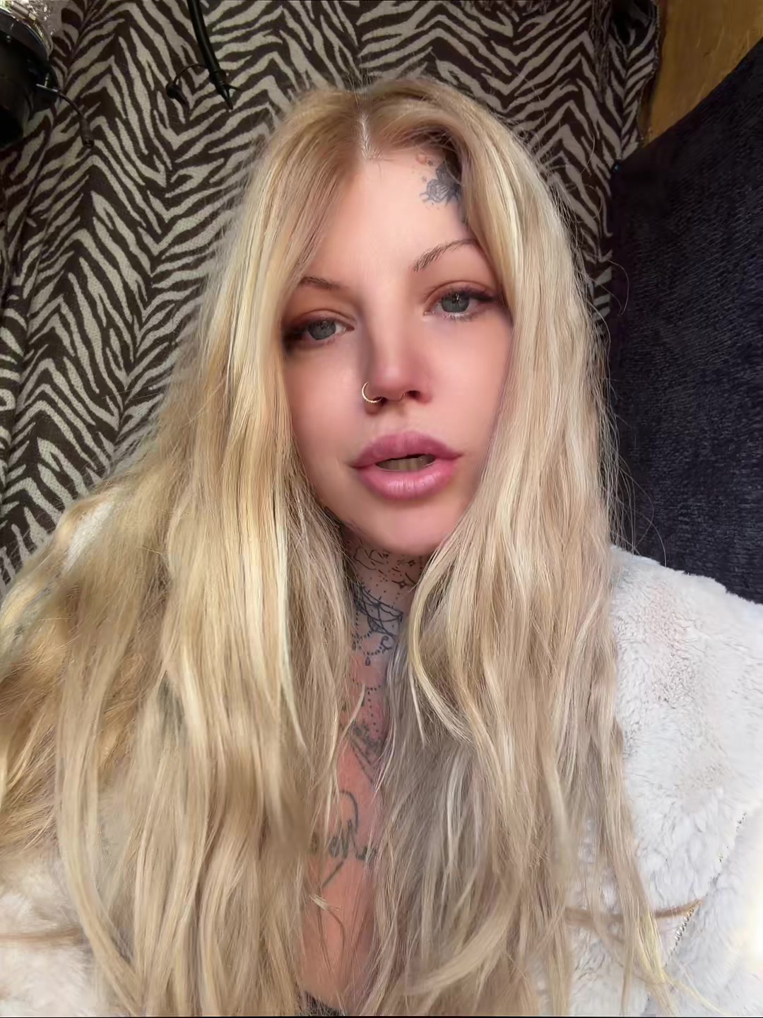 @Not_Tabby