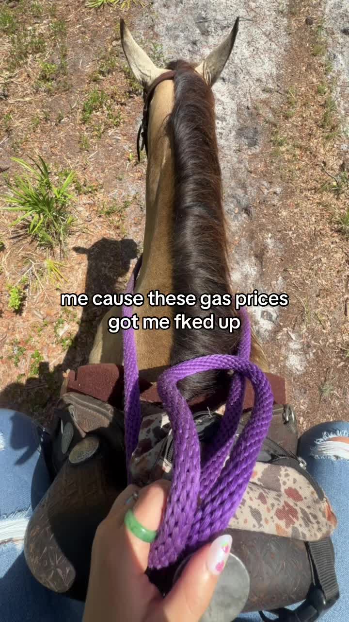 @livjustposts