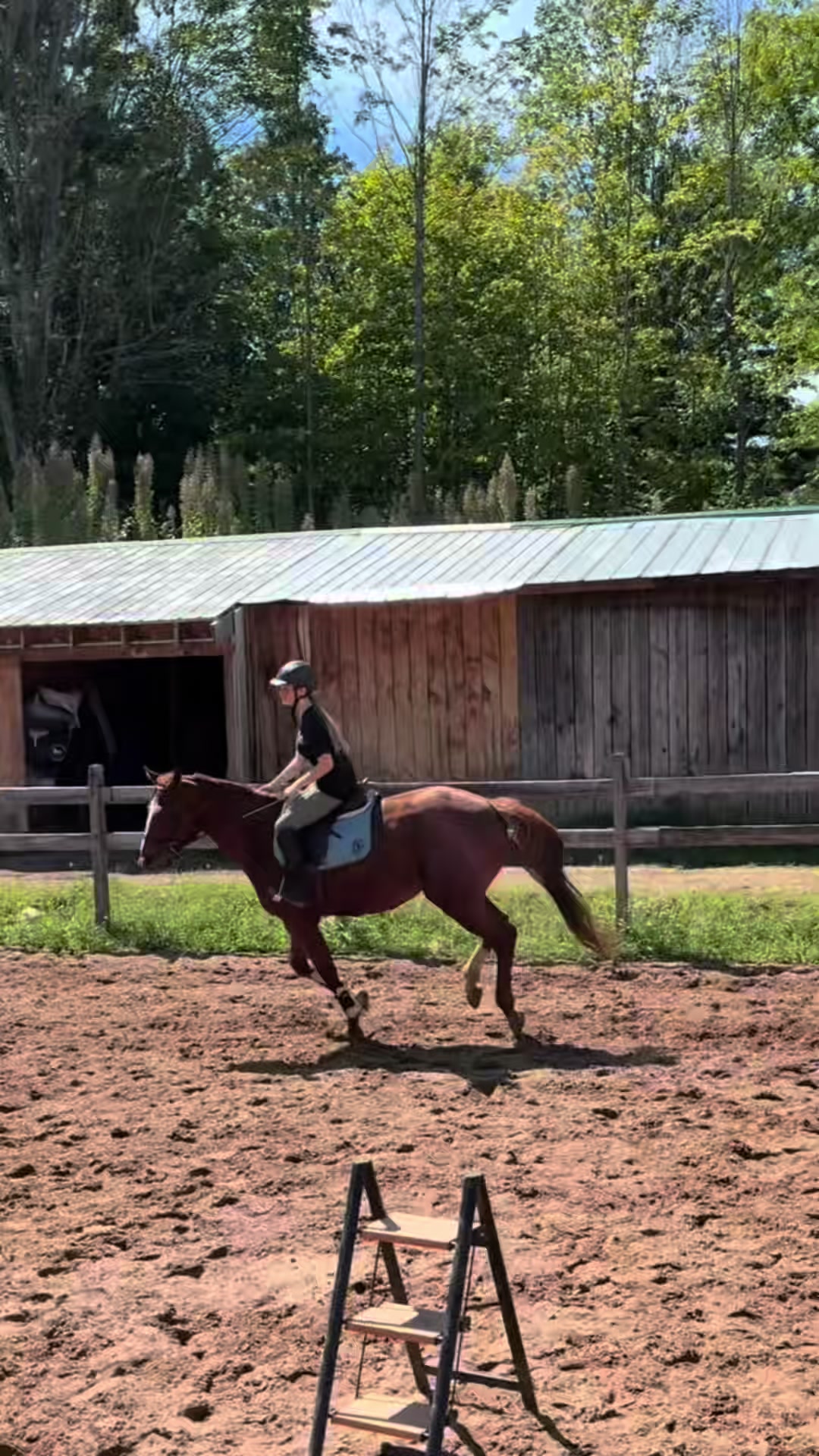@🐎Aby 😌👌✨️