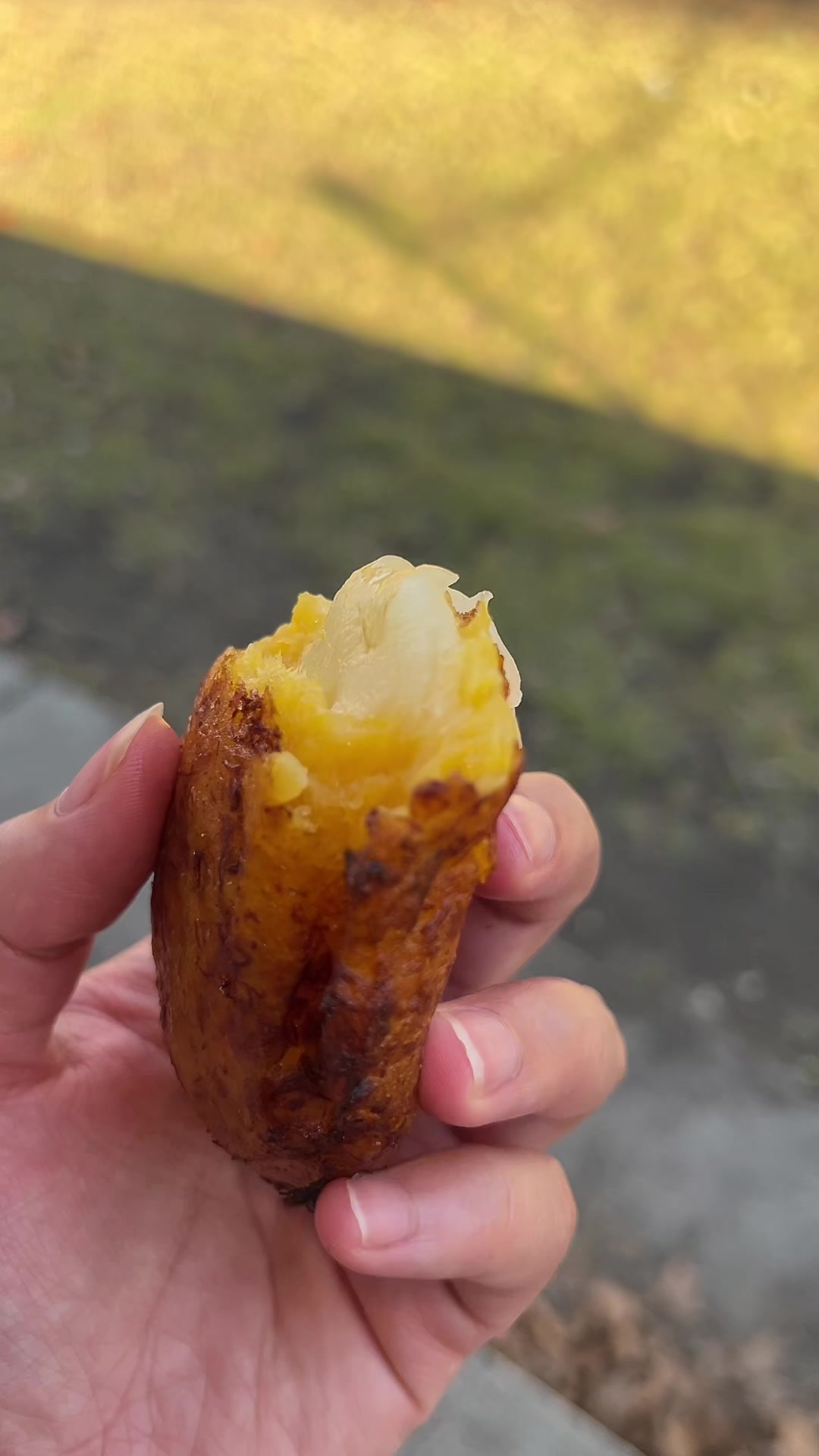 @wonderwhatscookin