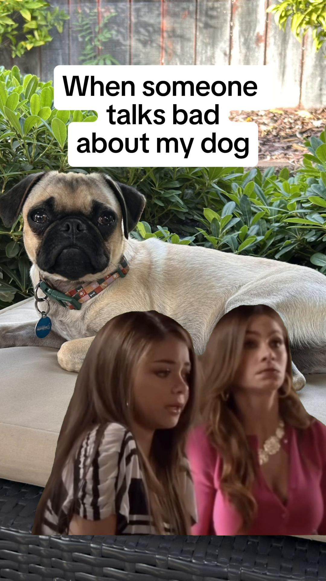 @Jennifer Heltman 📚🧶🐶