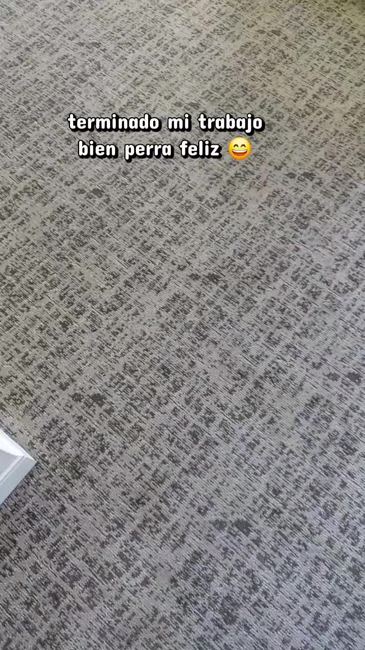 @ANYI
