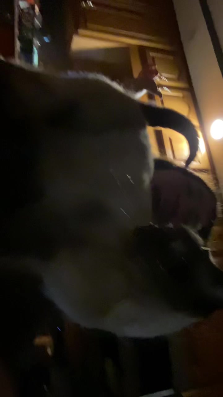 @emmagilbert.13