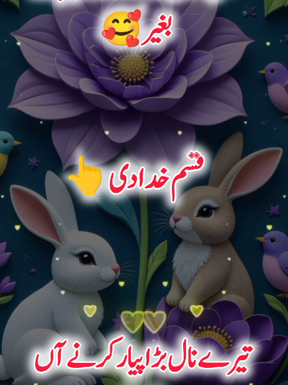 @Janyman379