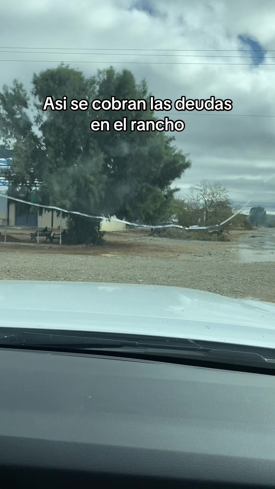 @Reyna Martinez