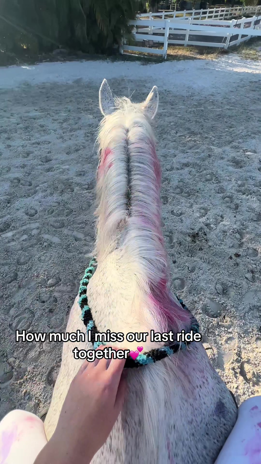 @Dakota Sheikh