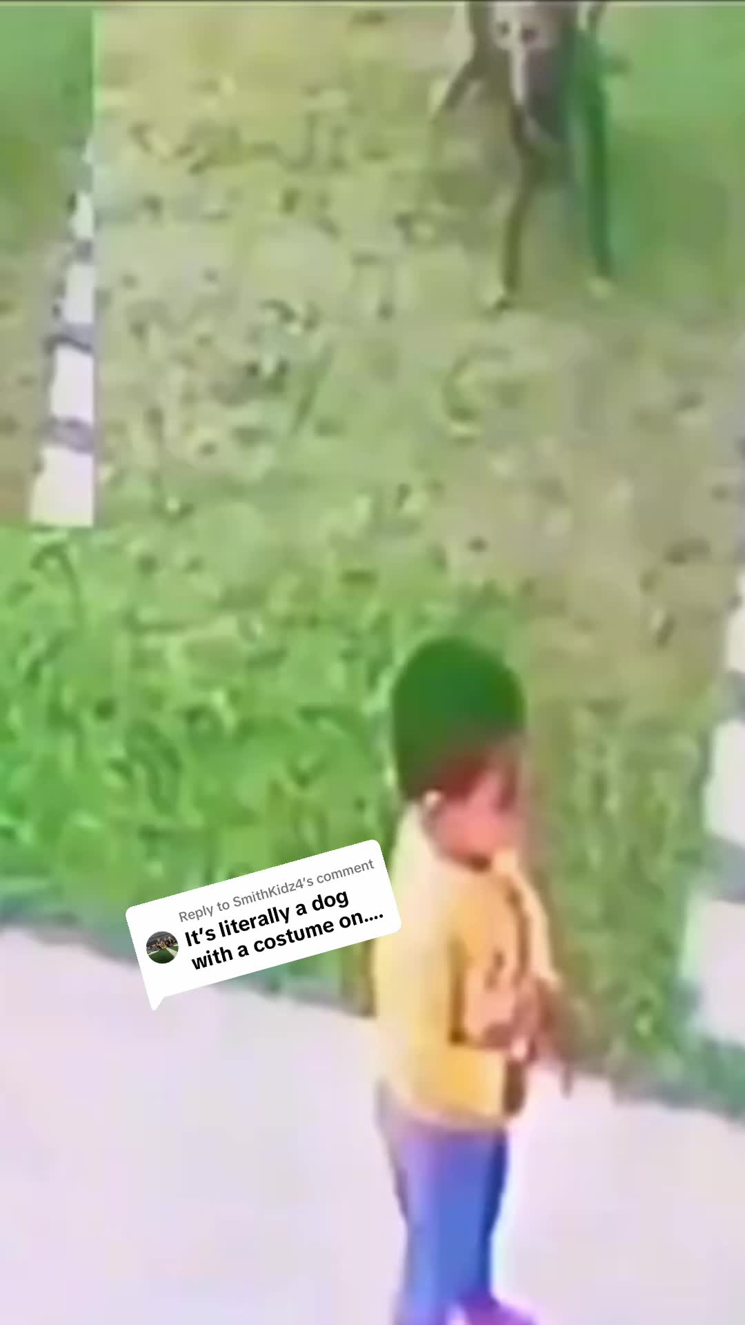 @Chihiro Monk