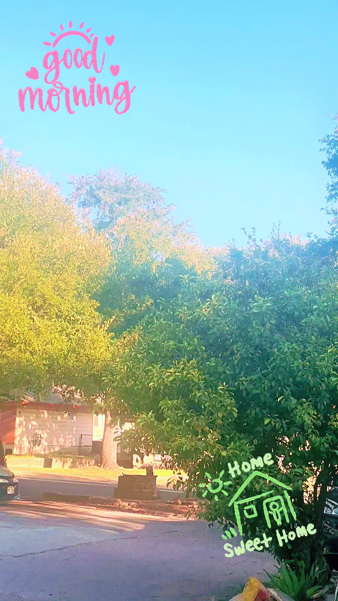 @🦋𝓓𝓲𝓪𝓷𝓲𝓼❤️🔥